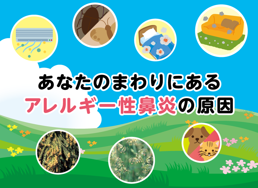 あなたのまわりにあるアレルギー性鼻炎の原因