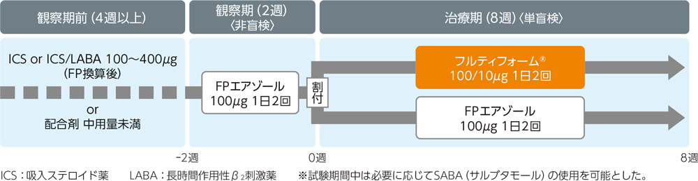 投与試験フロー