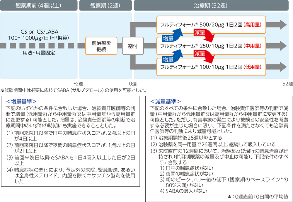 投与試験フロー