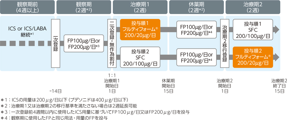 投与試験フロー