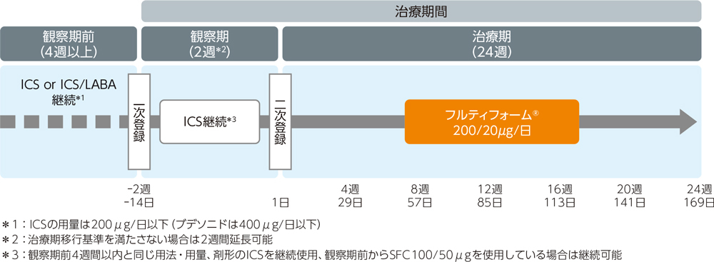 投与試験フロー