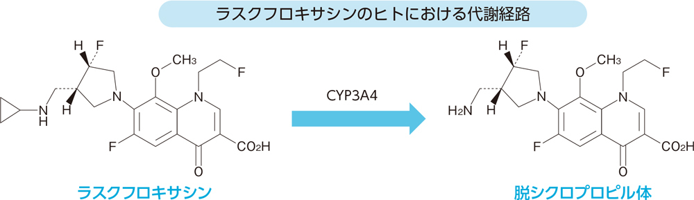 ラスクフロキサシンのヒトにおける代謝経路