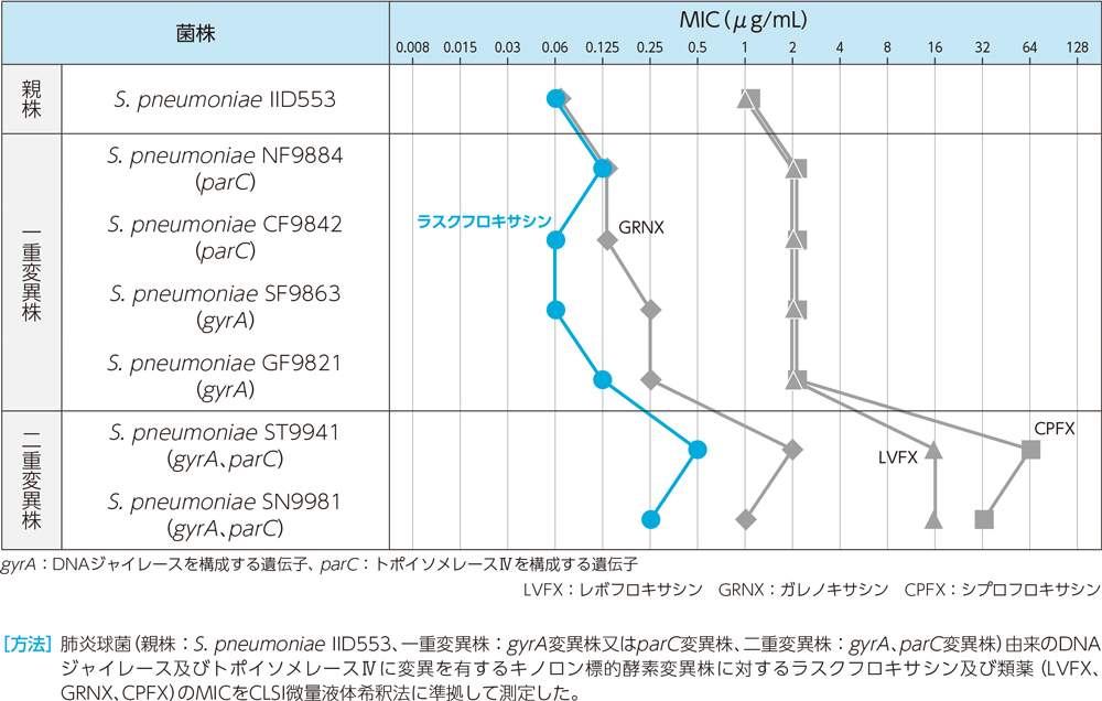 キノロン標的酵素変異株に対する抗菌力