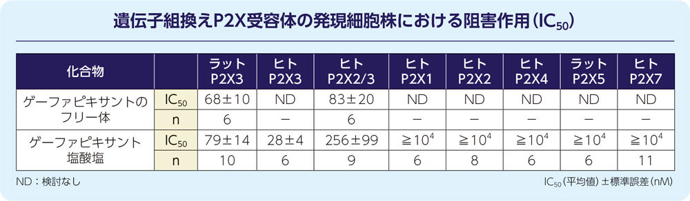 遺伝子組換えP2X受容体の発現細胞株における阻害作用（IC50）