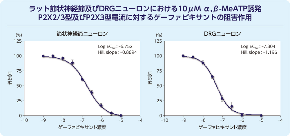 ラット節状神経節及びDRGニューロンにおける10μM α,β-MeATP誘発P2X2/3型及びP2X3型電流に対するゲーファピキサントの阻害作用